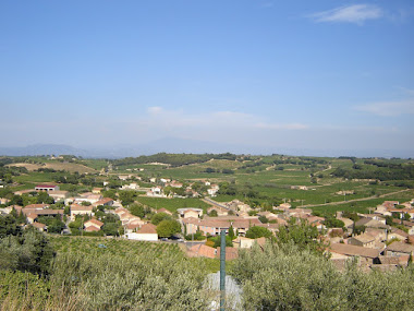 Découverte de la région : Châteauneuf Du Pape : vue sur le Mont Ventoux