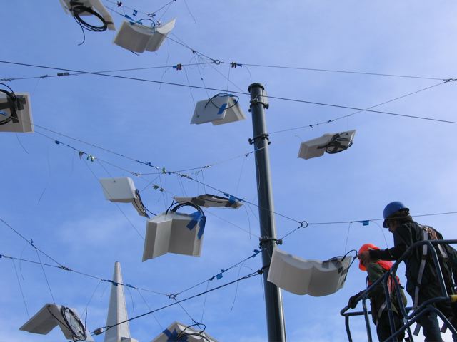 [language+of+the+birds+anna+fitch.jpg]