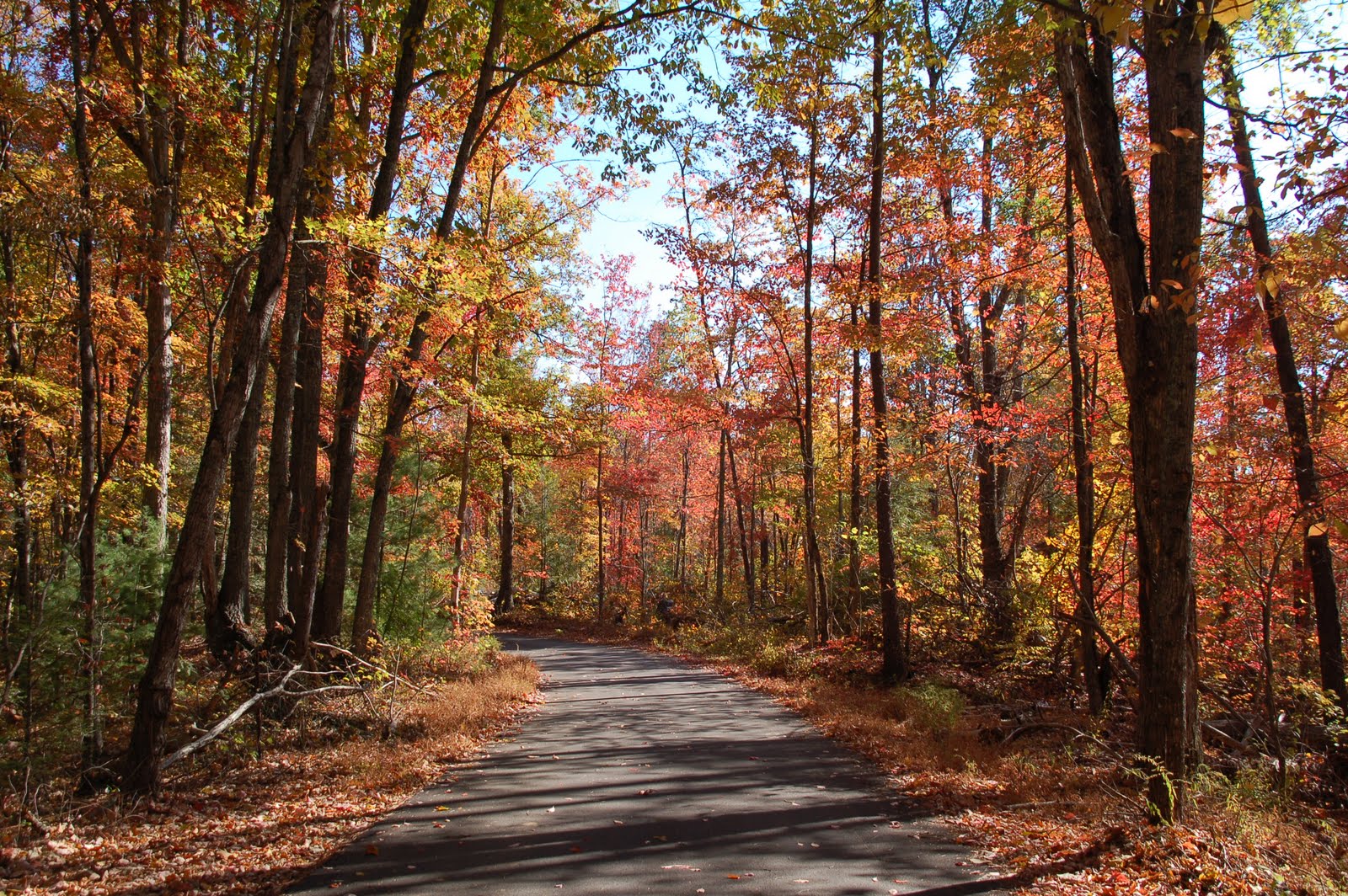 Creekwalk Inn Bed And Breakfast Fall Color Not Too Soon To Plan
