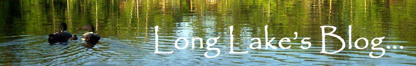 Long Lake Blog