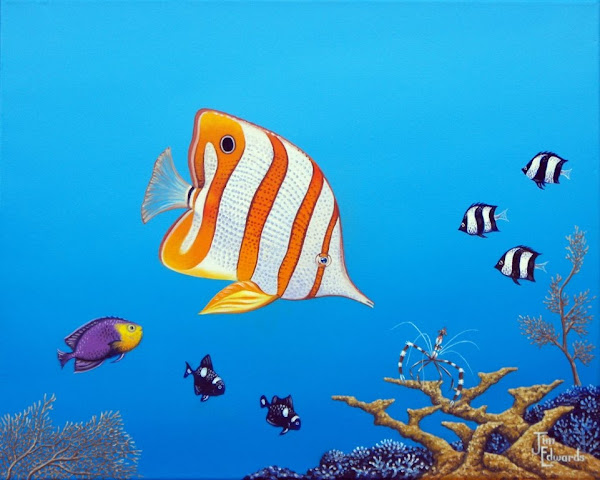 Copperband butterfly 16 x 20 (Sold)