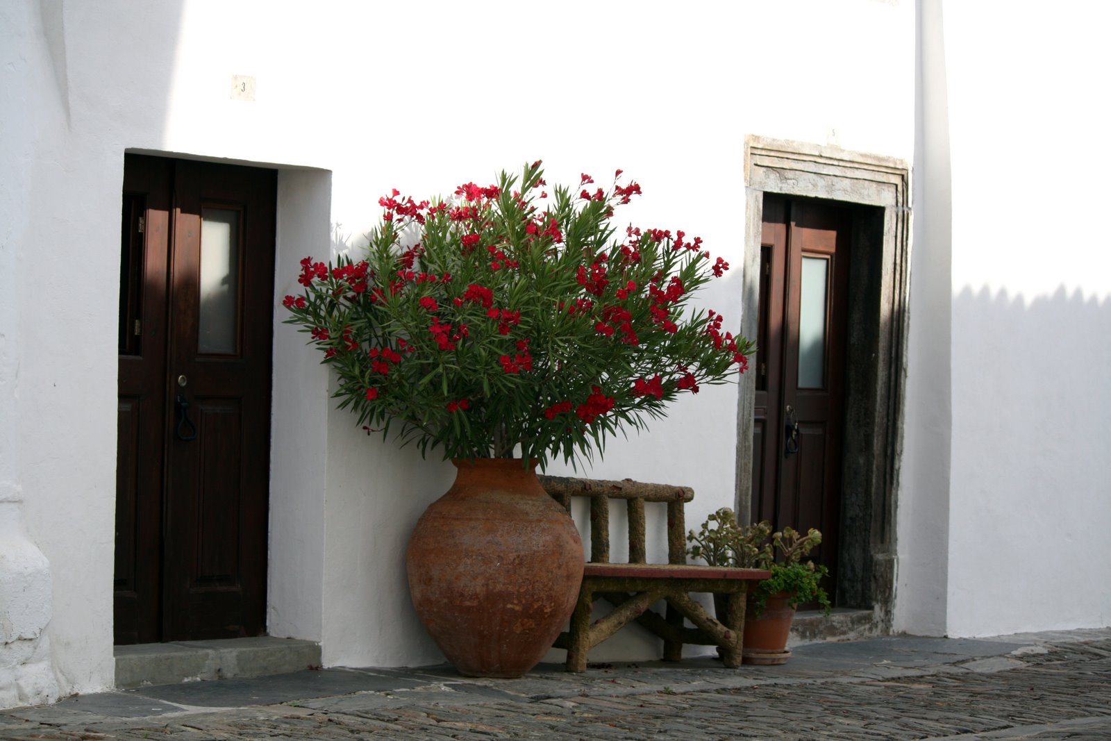 [IMG_5139.JPG]