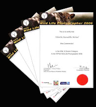 wild life photographer2006 competition