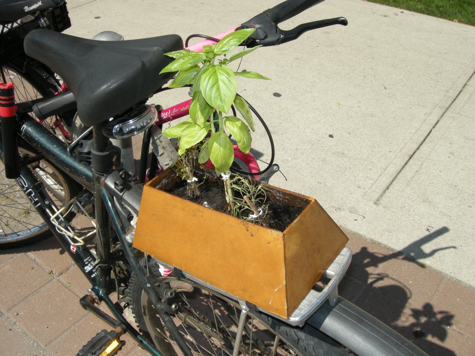 Edible City: May 2010