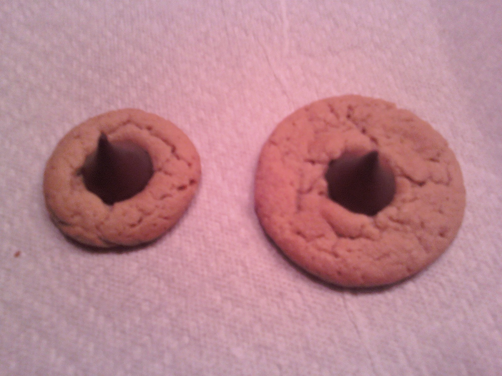 [2+cookie.jpg]