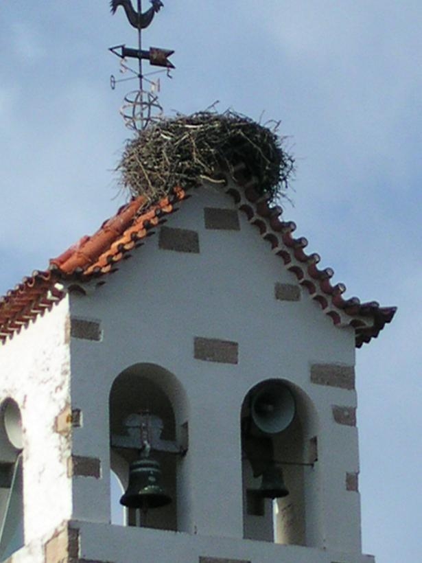 [torre+e+cegonhas.JPG]