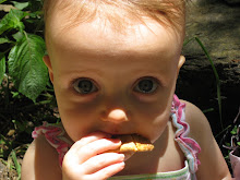 Cookie Monster