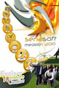 Reporte Senasoft2010