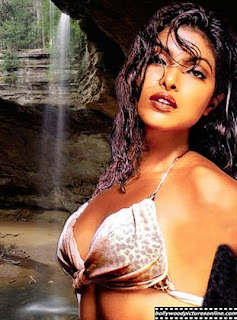 Priyanka Chopra new sexy wallpapers and picture