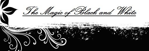 The Magic of Black and White