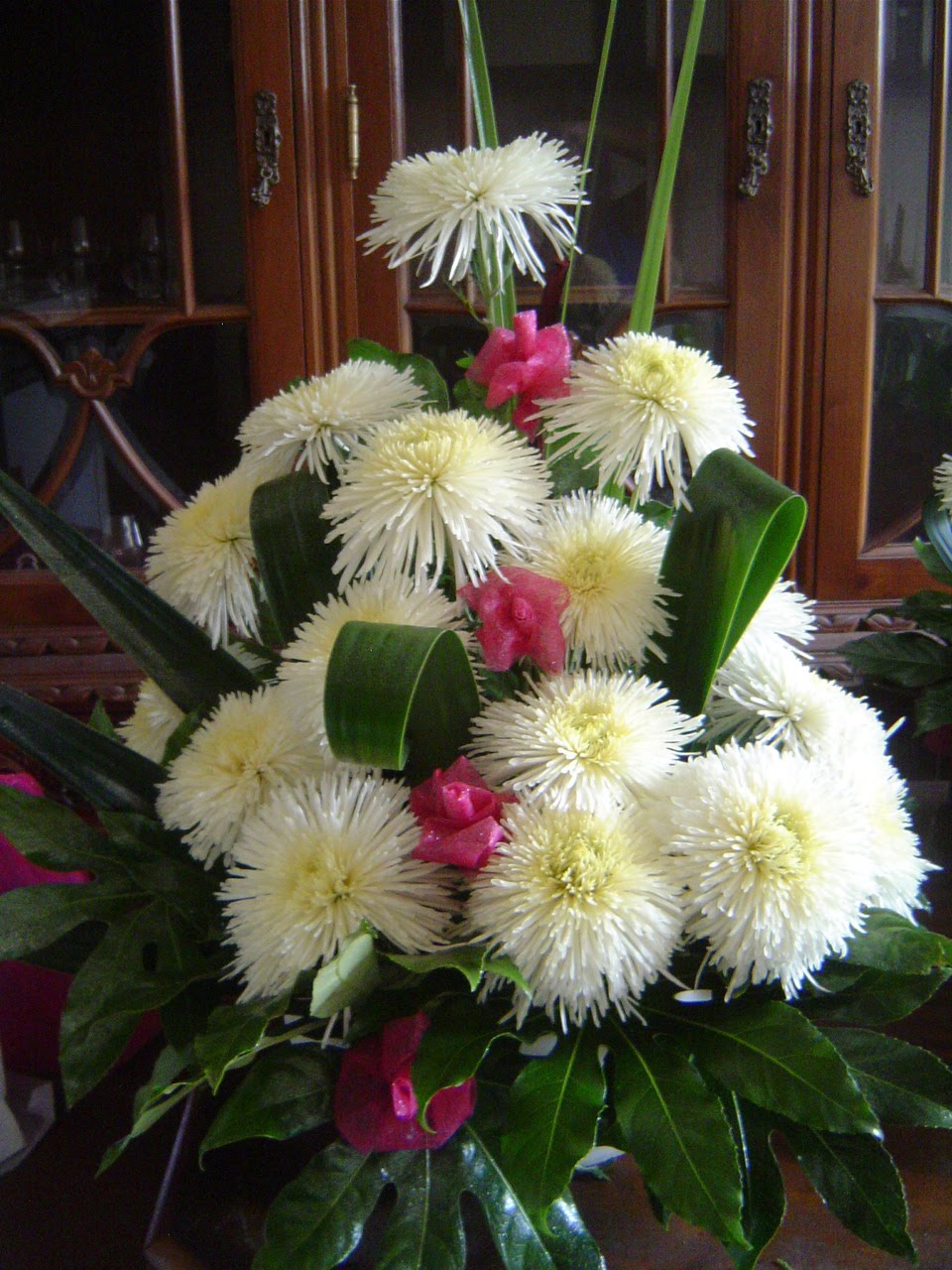 [DSC05026.JPG]