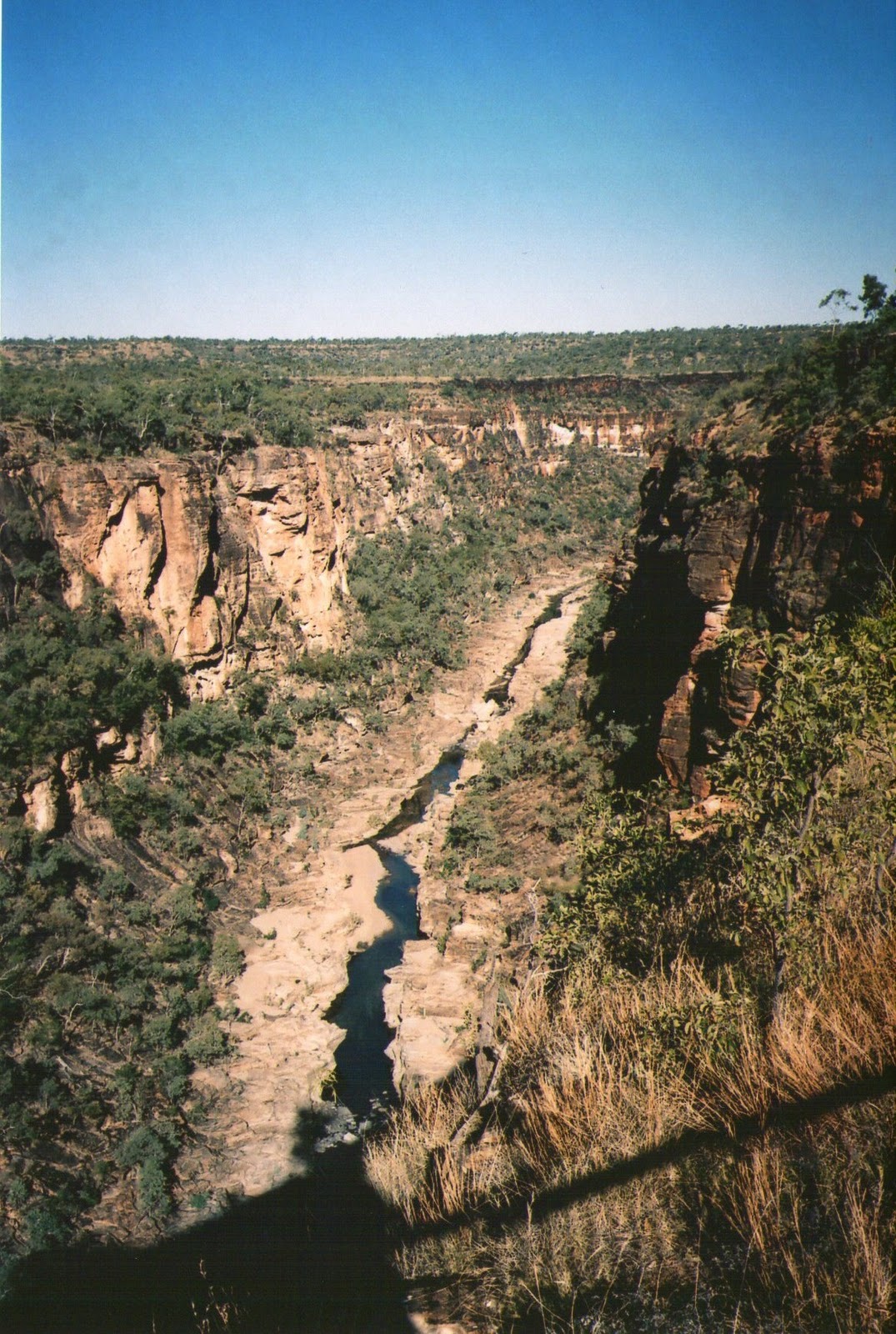 Red's Australia! OZ Top Spot 4 Porcupine NP, QLD