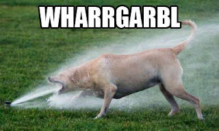dog-whargarbl.jpg