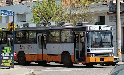 argentina colectivos