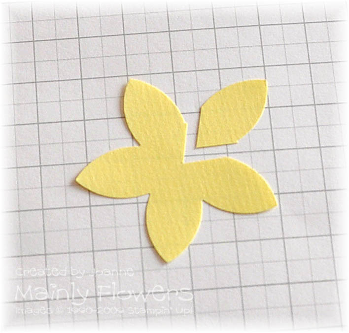 [Daffodil+3.jpg]