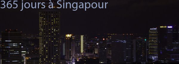365 jours à Singapour