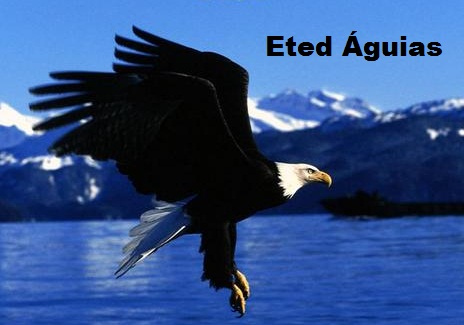 Eted Águias