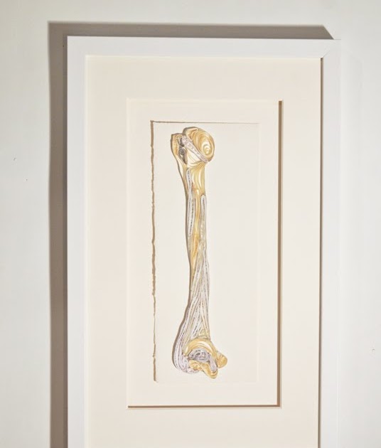 Yakawonis: Quilled bone