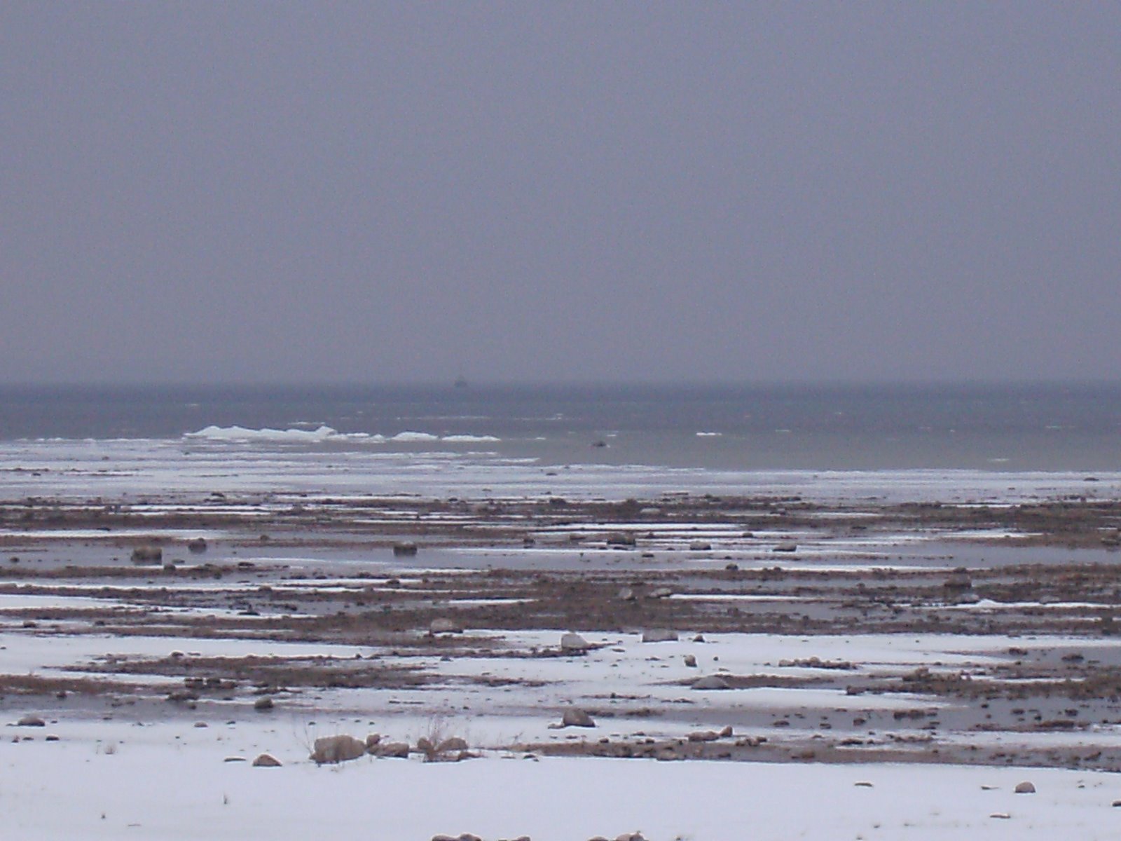 [SANY0090.JPG]