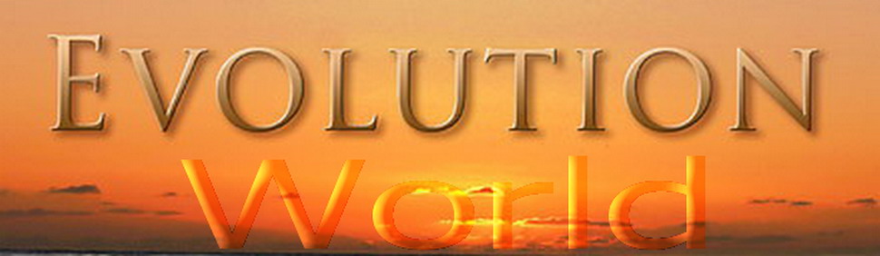 Evolution - World