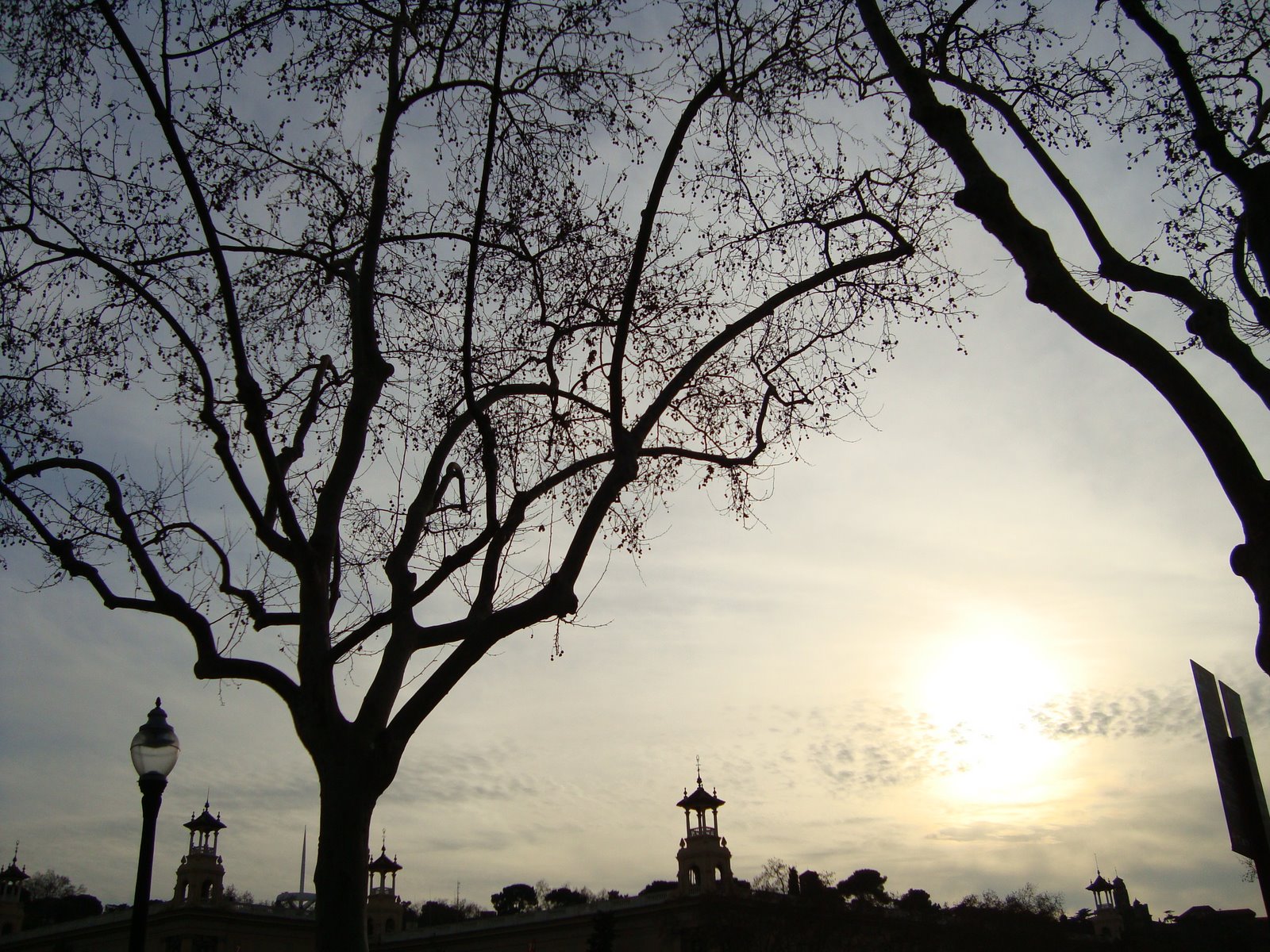 [DSC00084.JPG]