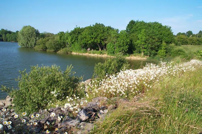 Boddington Reservoir