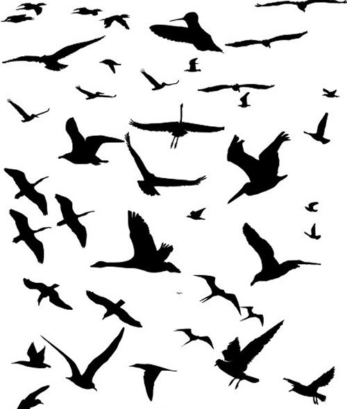 paintings of birds flying. Flying Birds (46 shapes)