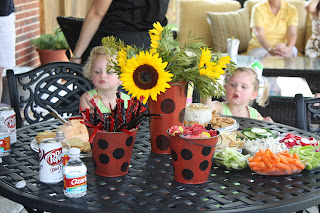 Six Halls: Lady Bug Birthday Pa...