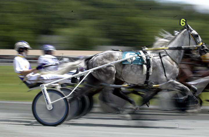 [ecggoshentrack07a.jpg]