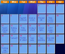 Baby Blog Calendar