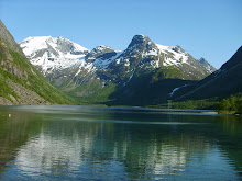 Minne fra Skamdalen