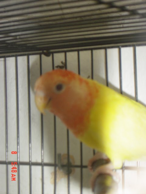 [DSC09969.JPG]
