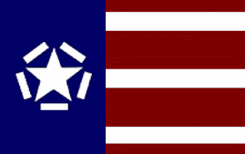 The Freedom Flag