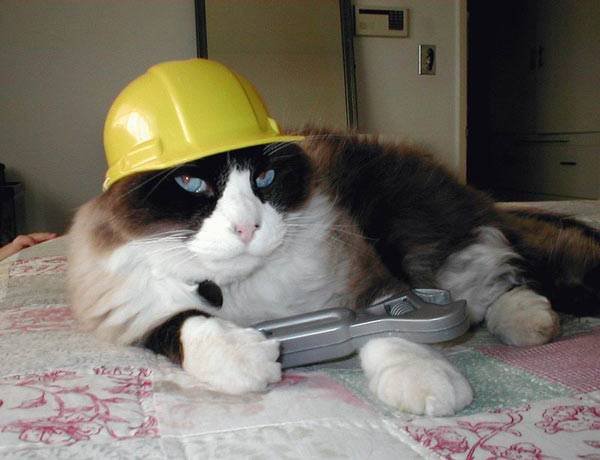 [construct.bmp]