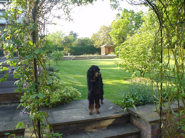 [random+uk+(11).JPG]