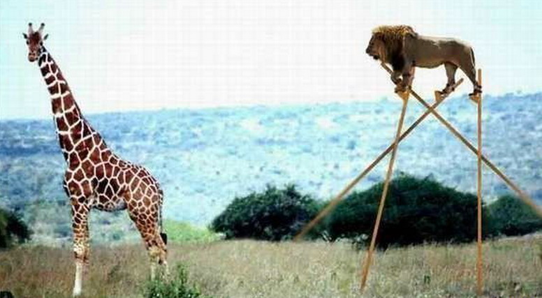 [27.pemain+sirkus.jpg]