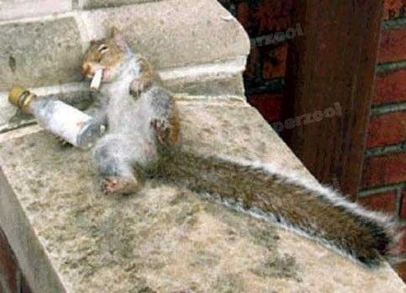 [7.pengangguran.jpg]