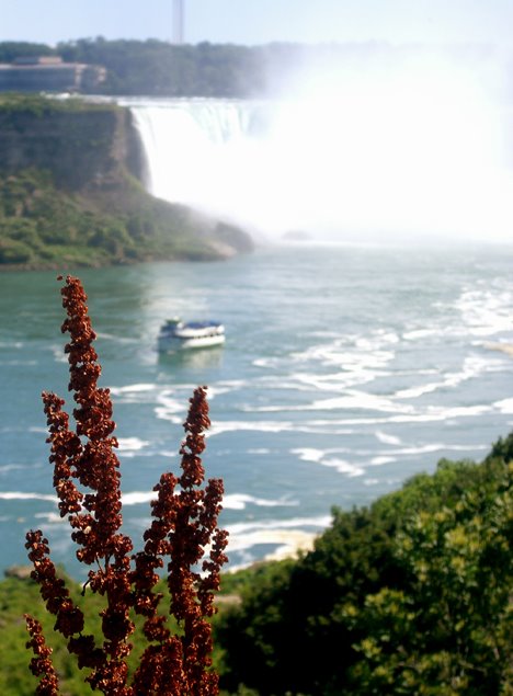 Niagara Falls