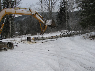  Dropping Trees With the Excavator