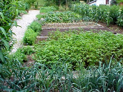 Des Ecrits Lumineux Pour Vous Faire Bouger: Jardin potager ... Jardin Potager