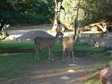 Cave Creek Ranch residents