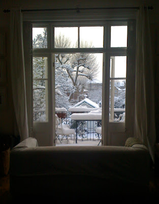 The snowy view from my living room