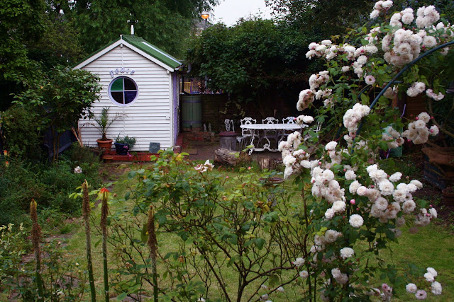 MsMarmiteLover's garden