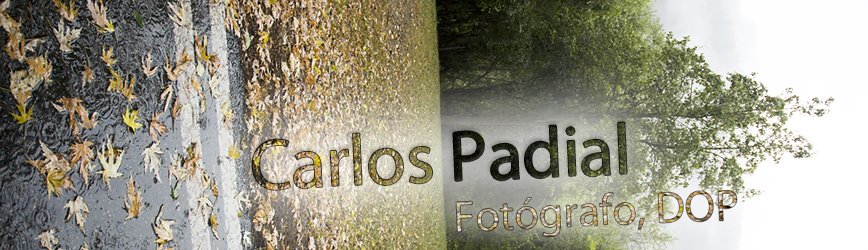 Carlos Padial