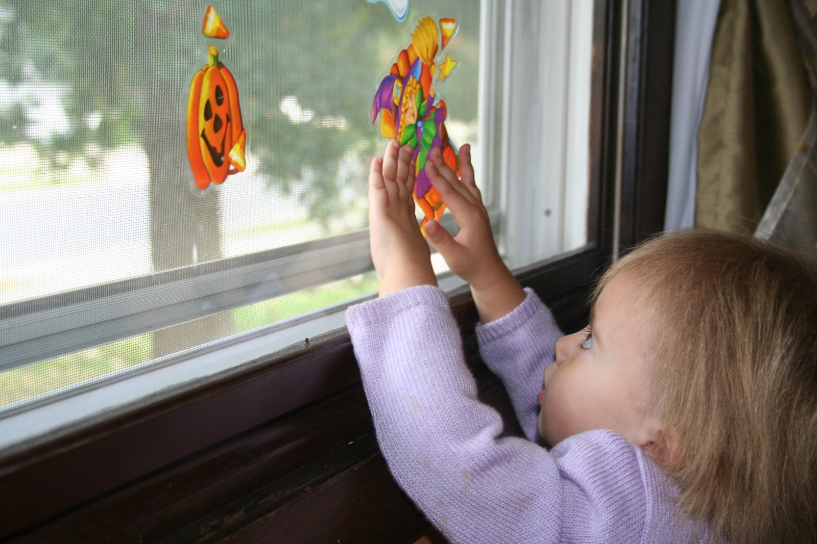 [October+08+Pictures+039.jpg]