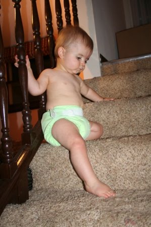 [November+09+046.jpg]