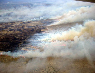 forest fire in USA
