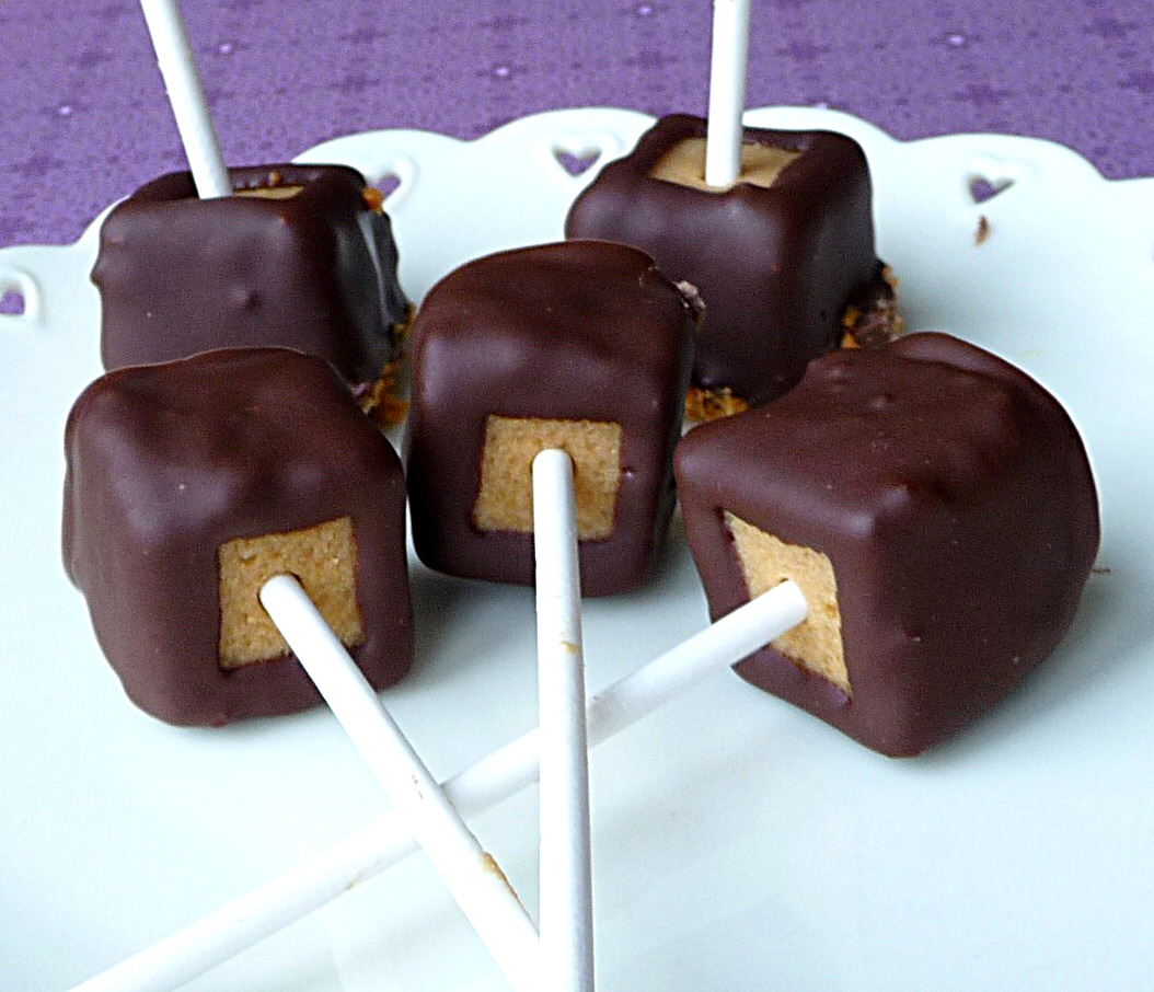 Family, Food, and Fun ChocolateCovered Peanut Butter Cheesecake Pops