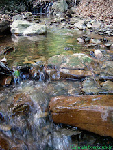 The Natural Flowing Water