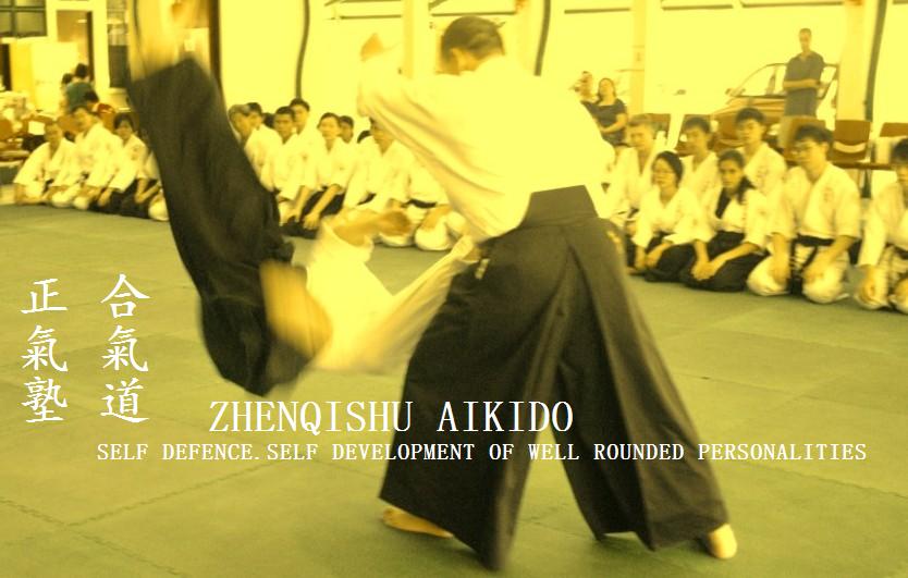 Aikido Zhen-Qi Shu